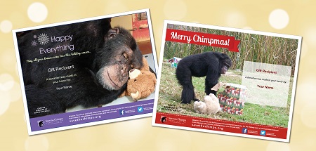 merry-chimpmas-happy-everything-certificates-2016-450