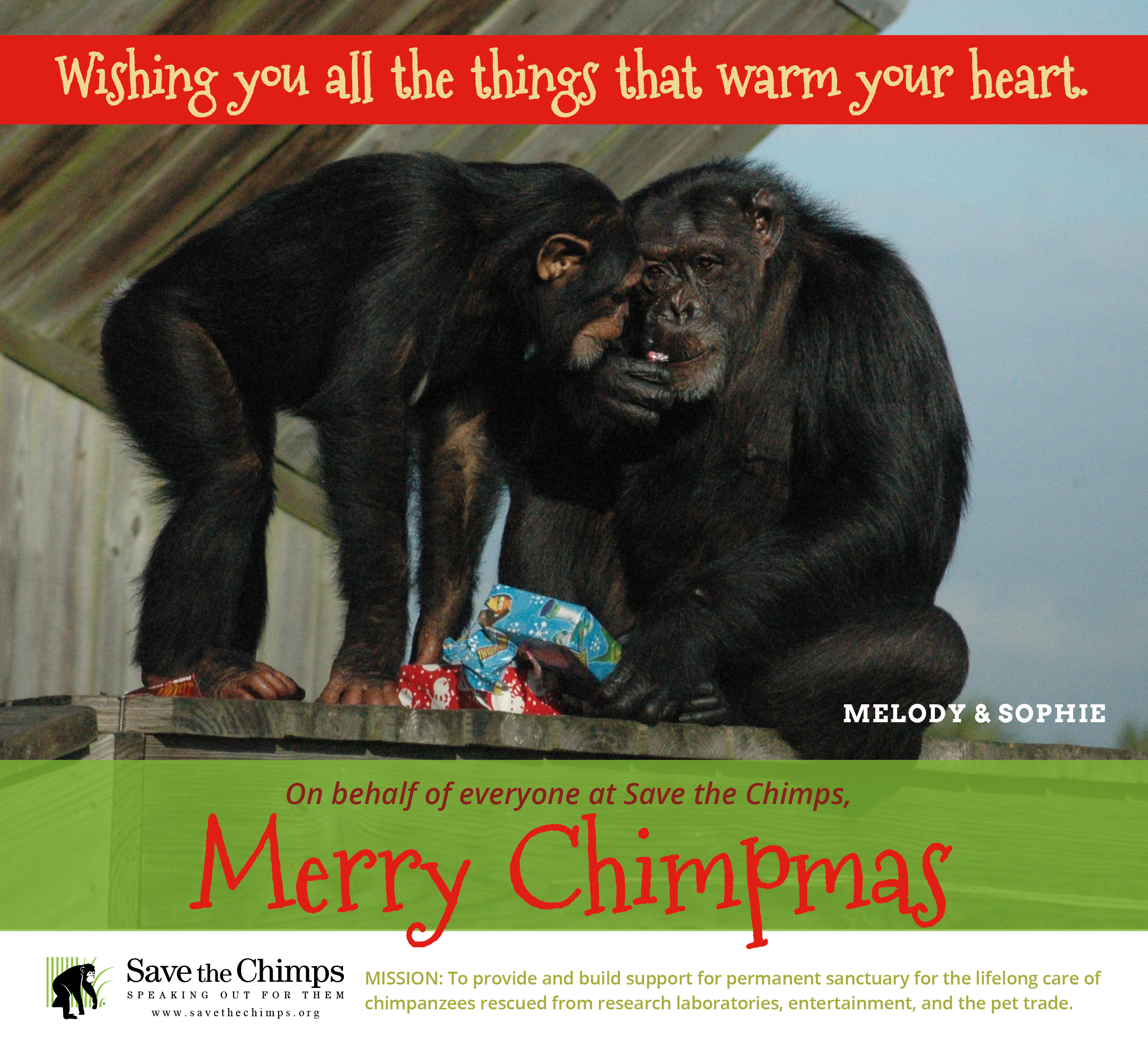 Merry Christmas Card 2015
